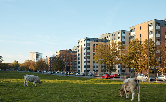 Park View Student Village